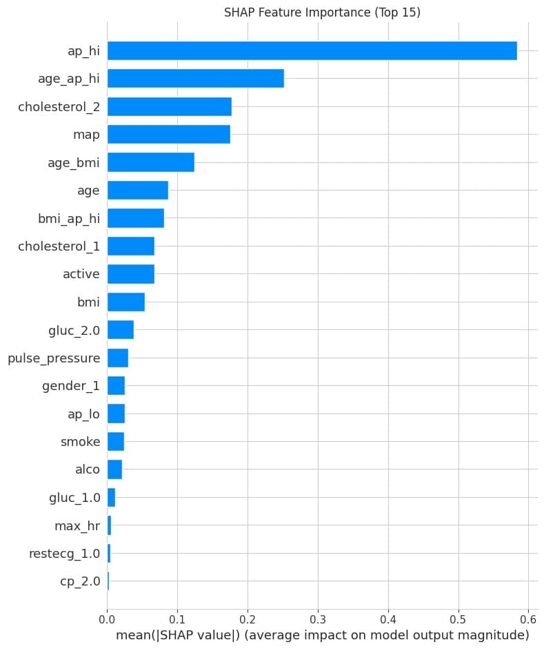SHAP Feature Importance bar chart showing top 15 risk factors
